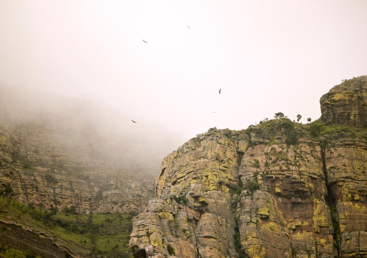 Cape Vulture Conservancy Hoedspruit Exterior photo
